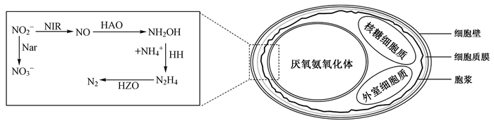 圖片7.png